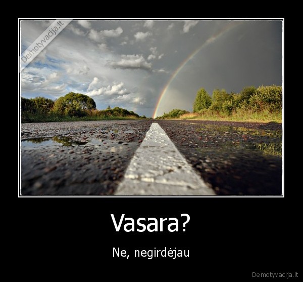 demotyvacija.lt_Vasara-Ne-negirdejau_134