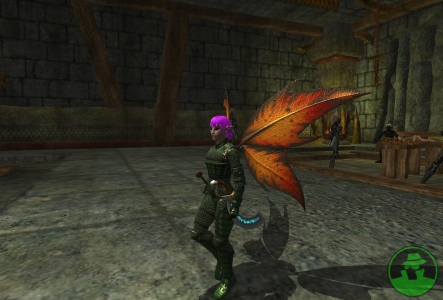 everquest-ii-echoes-of-faydwer-20060912052515726-000.jpg