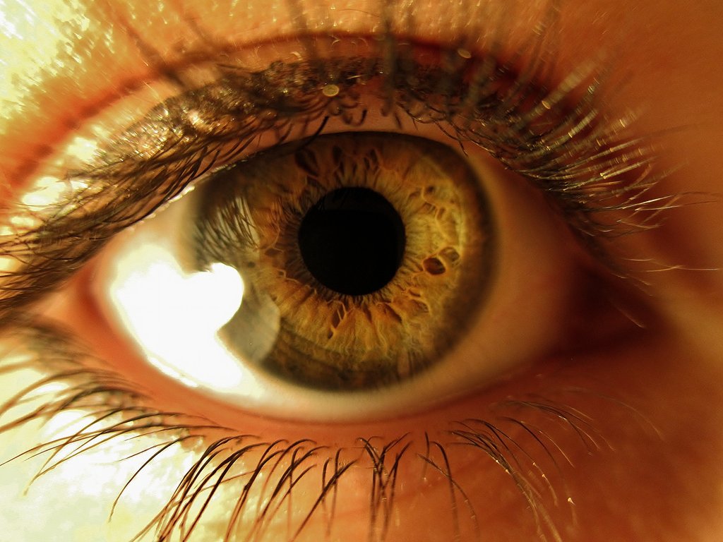eye_close_up_photograph_3_by_serenitysty