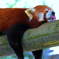 f37efce789ccd57acb1a7b10561f18ed356.png