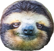 f42da23cda7546e508daa75ad94a4a6e493.png