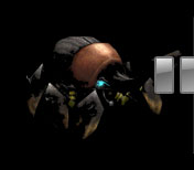 giantbeetle1_t.jpg