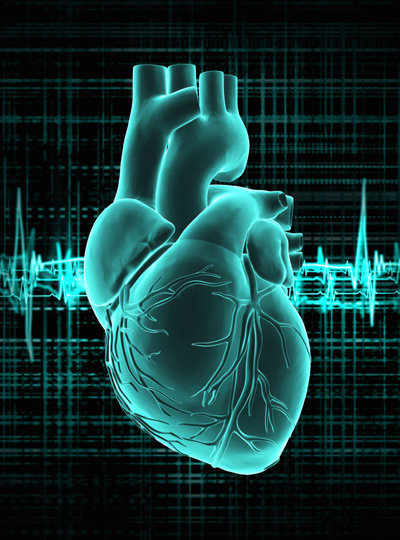 heart2.jpg