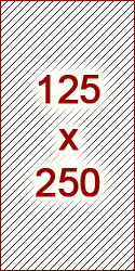 iab-125x250-template.jpg