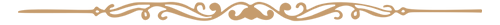 linija.png