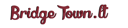 logo.png