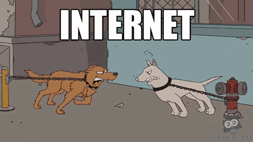 mSGDmL0.gif