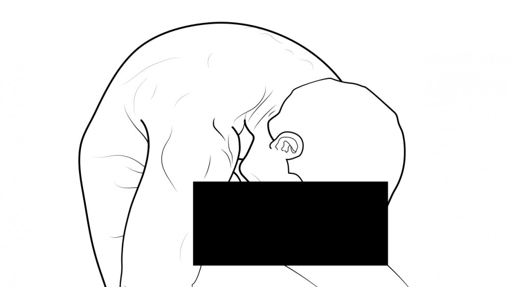 Autofellatio | Know Your Meme