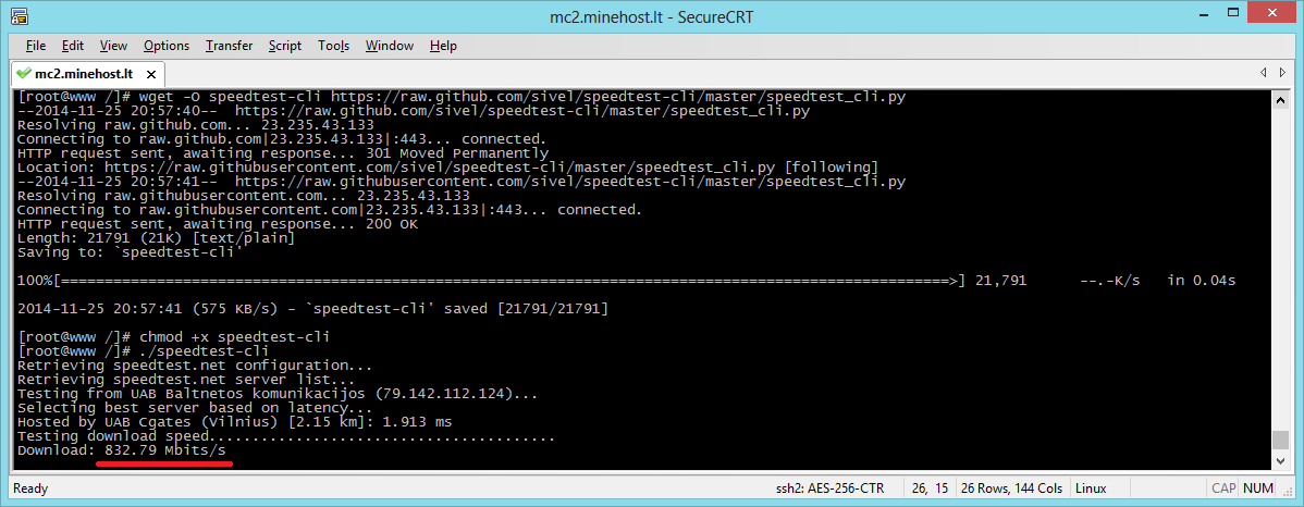 minehost.lt_speedtest.png