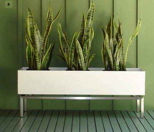 modern-planter-box.jpg