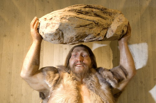 neanderthaler_steineheber_kl.jpg