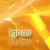 original_img.gif