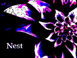 original_img.gif