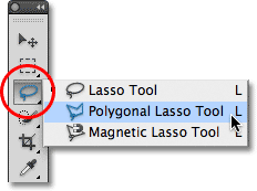 polygonal-lasso-tool.gif