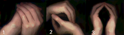psi-kamuolio-kurimas.png