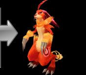 redgarlie2_t.jpg
