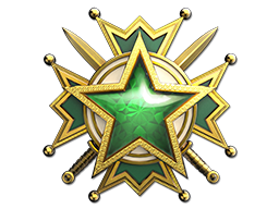 service_medal_2019_lvl2.png