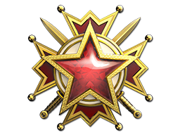 service_medal_2019_lvl6.png