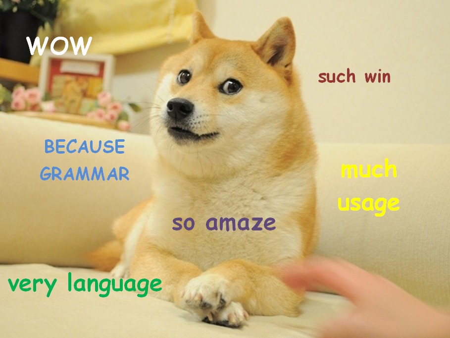 stan-carey-doge-meme-wow-such-win-becaus