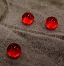 superhydroph_x220.jpg