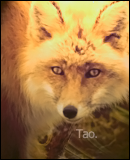 tao___fox_by_pahaluiciks-d4pdd4z.png