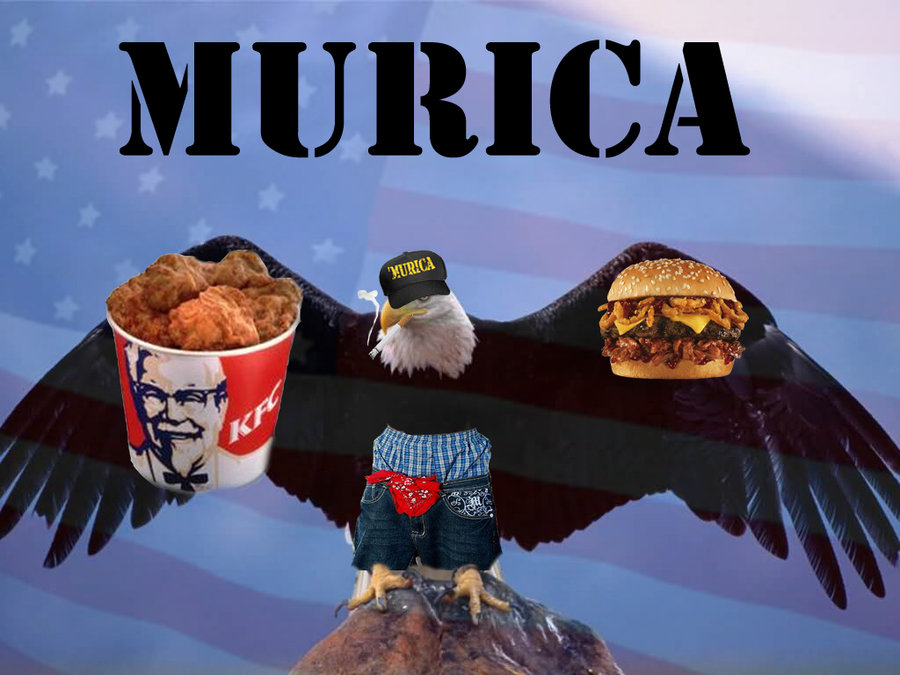 the_real__murican_eagle_by_nekokaorukoba