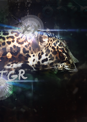 tiger_by_lomnus-d49ctua.png