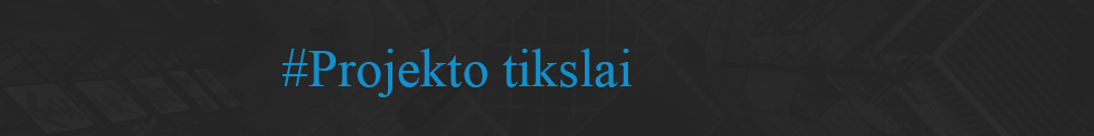 tikslai.png