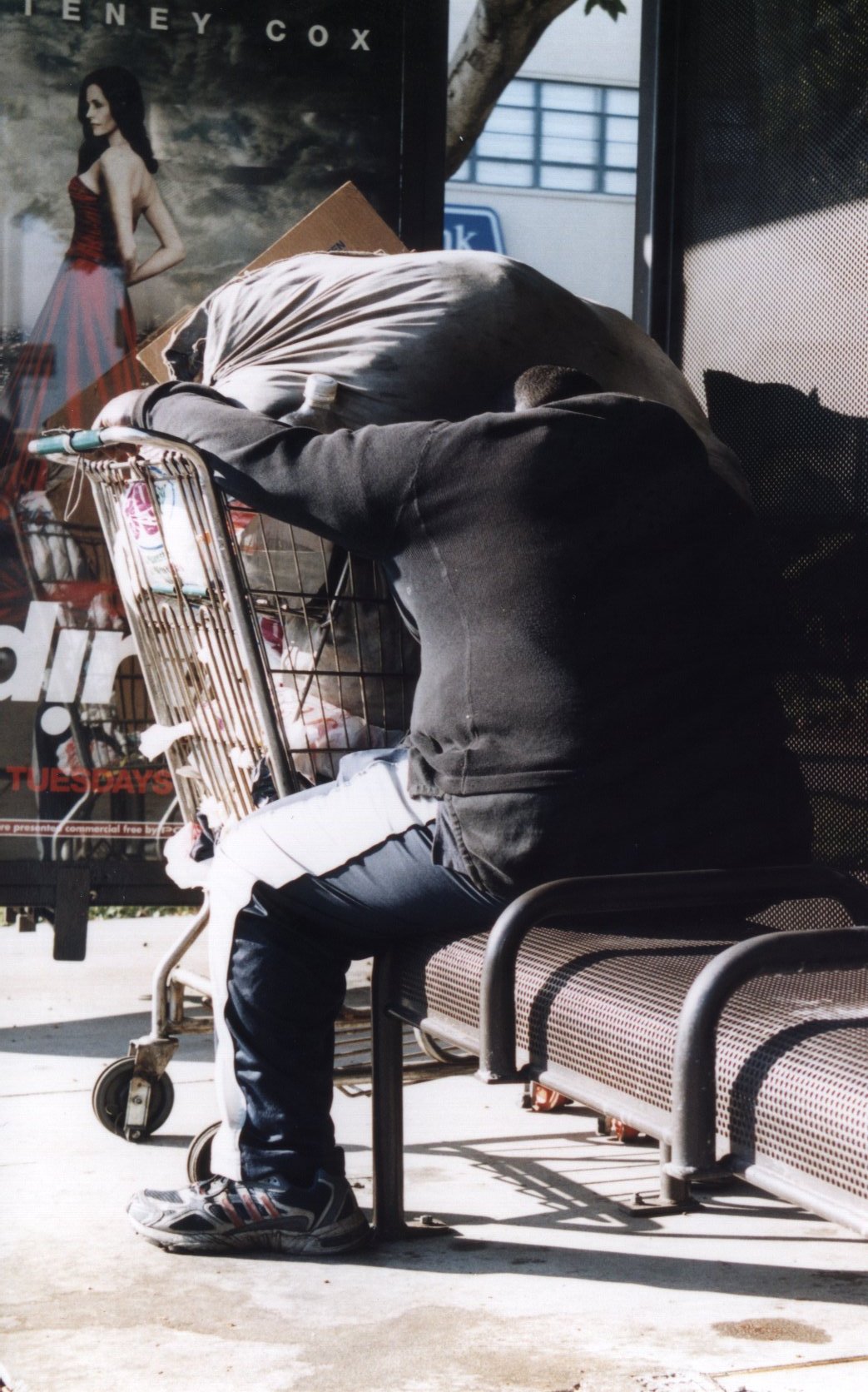 tramp.jpg