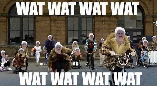 wat-wat-wat--137603802630.jpg