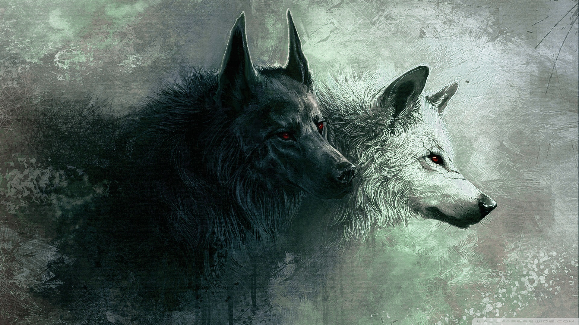 wolf_8-wallpaper-1920x1080.jpg