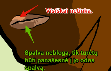 zPh8ts.png