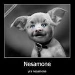 mcjonce