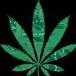 Karolissa