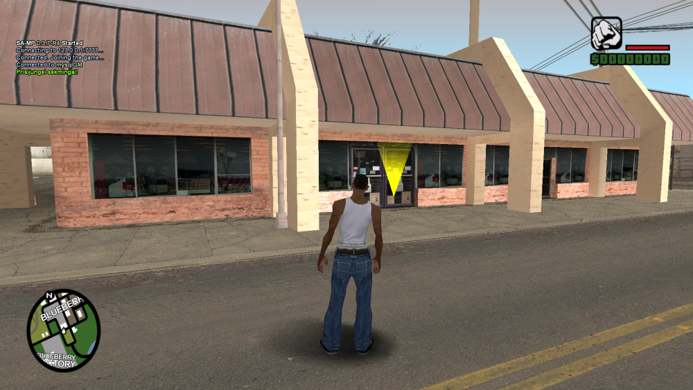 sa-mp-021.thumb.png.090a08e9d46af195be281315207ca95f.png