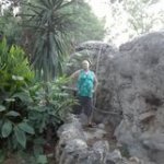 arunas21