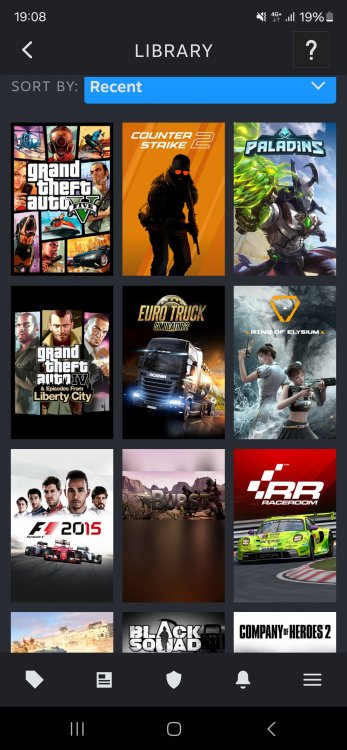 Screenshot_20241004_190839_Steam.jpg