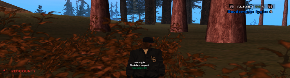 Naujas_kurinys_57.thumb.png.2fd750f4c1623c2eb9ffbce39a52b7c6.png