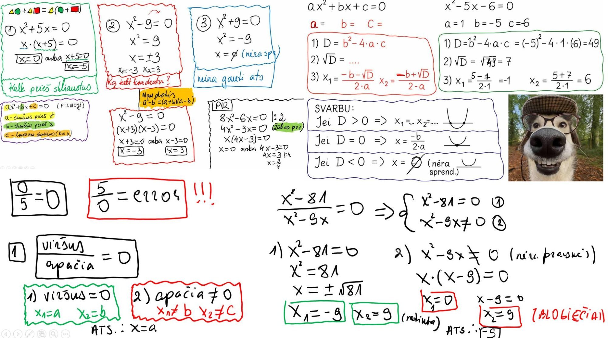 Daugiau informacijos apie "Matematikos vaizdo pamokos nuo 9 iki 12 klasės – viskas, ko reikia pasiruošti PUPP ir VBE!"