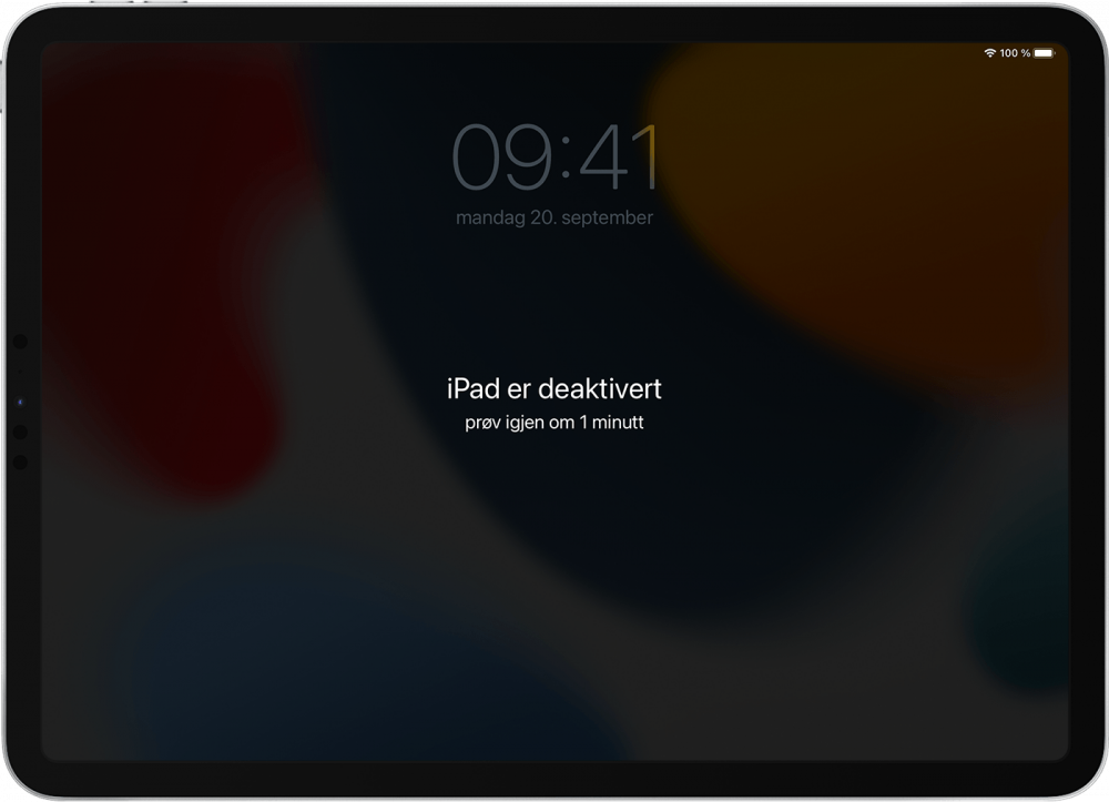 ipad 3.png