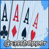 Grasshopper151