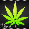 Austinas_Miau