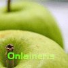 Onlaineris2