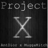 Project-XFan