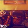 Torres5
