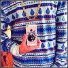 Ertoz