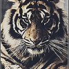 Wolf_Gallery