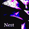 Nest